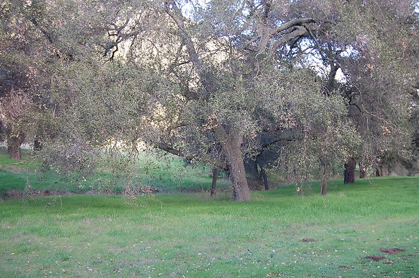 DSC 0390