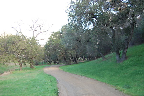 DSC 0393