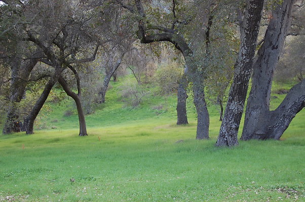 DSC 0411