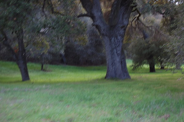 DSC 0418