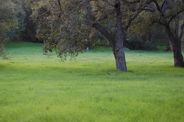 DSC 0424