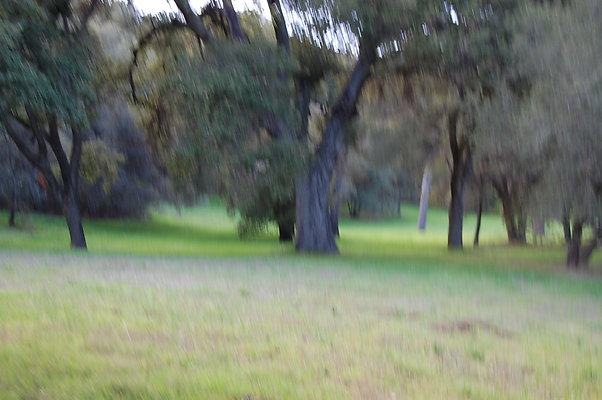 DSC 0417