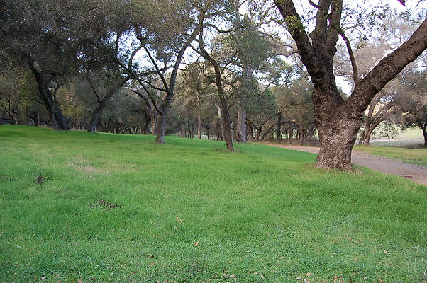 DSC 0406