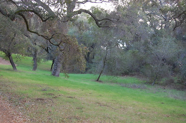 DSC 0395