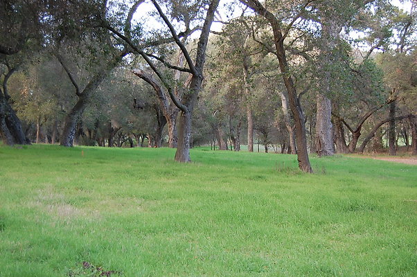 DSC 0404