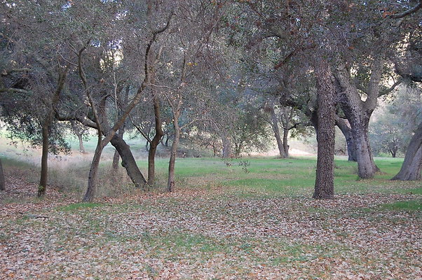 DSC 0398