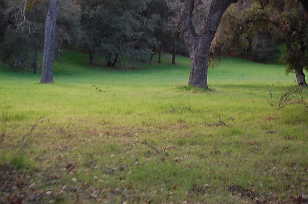 DSC 0420