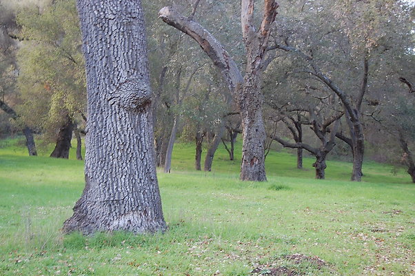 DSC 0410