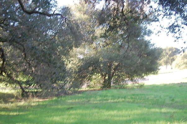 DSC 0890