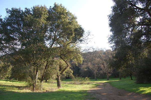 DSC 0899