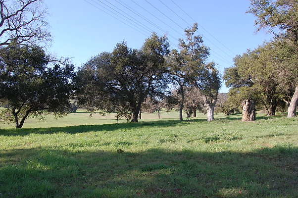 DSC 0920