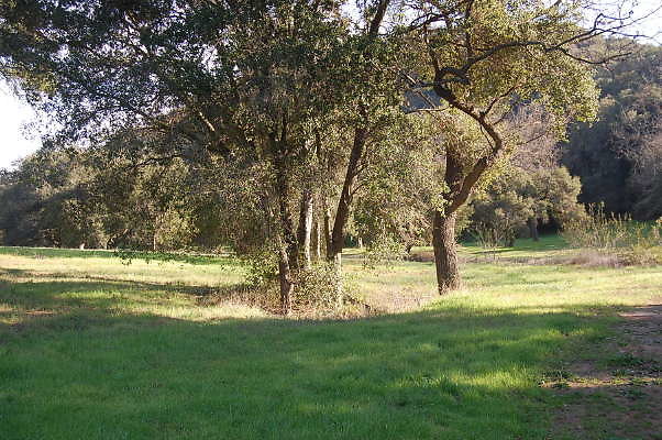 DSC 0909