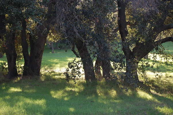 DSC 0905
