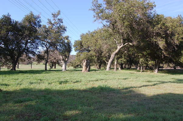 DSC 0921
