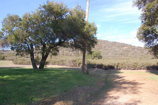 DSC 0928