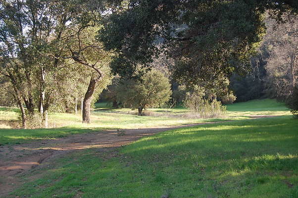 DSC 0895
