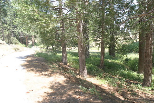IMG 4319