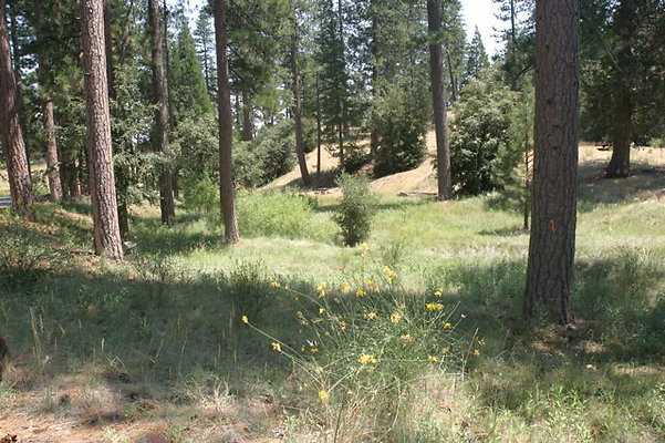 IMG 4330