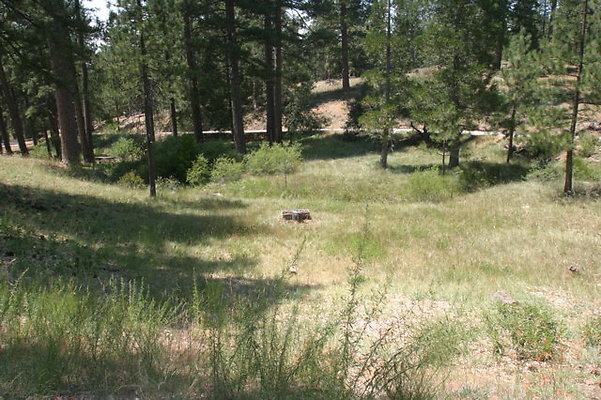 IMG 4316
