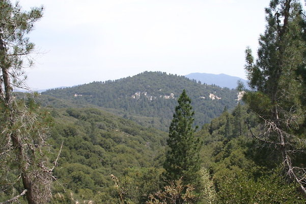 IMG 4368