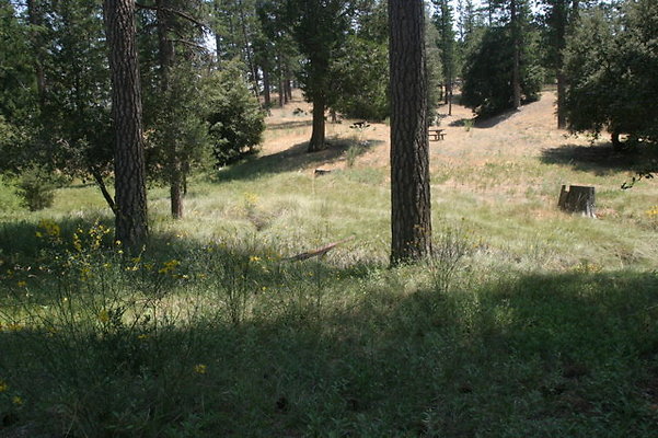 IMG 4331