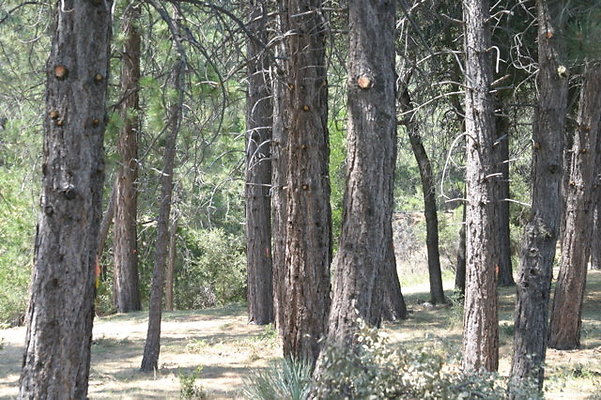IMG 4369