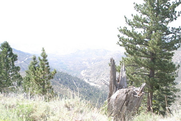 IMG 4415