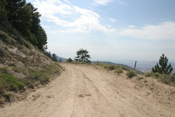 IMG 4426