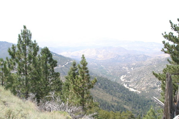 IMG 4417