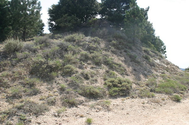IMG 4425