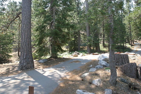 CAMPSITE 3