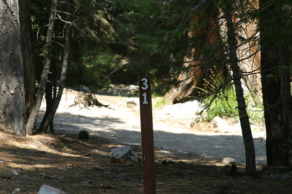 CAMPSITE 31