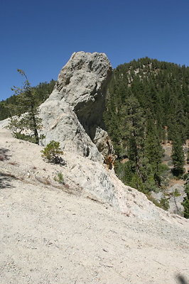 IMG 2479