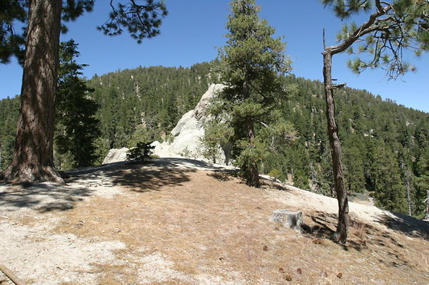 IMG 2488