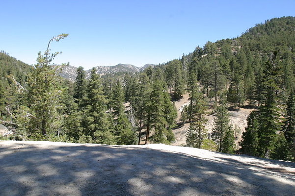 IMG 2472