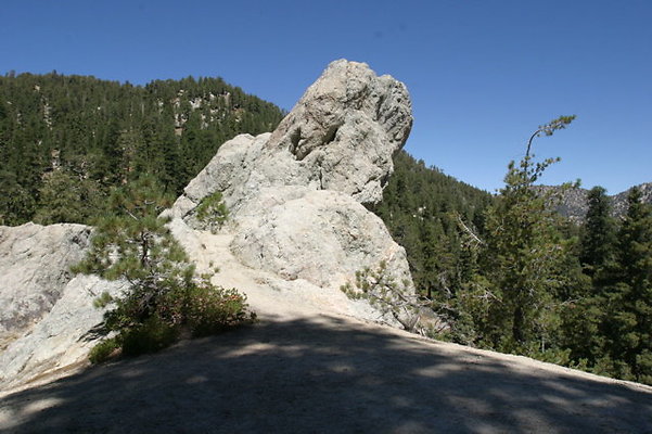IMG 2471