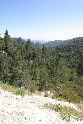 IMG 2663