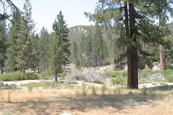 IMG 4407