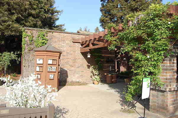 DSC 0525