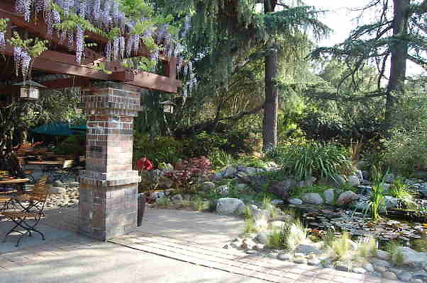 DSC 0527