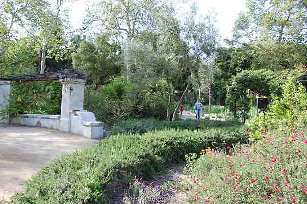 DSC 0393
