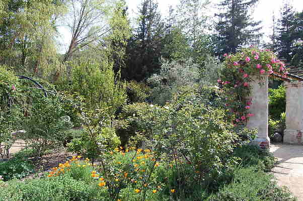 DSC 0391