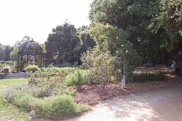 DSC 0359