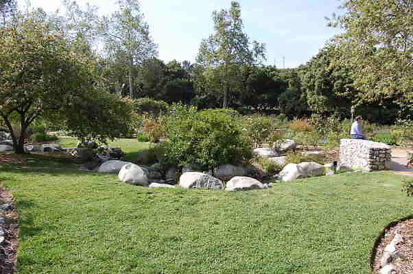 DSC 0384