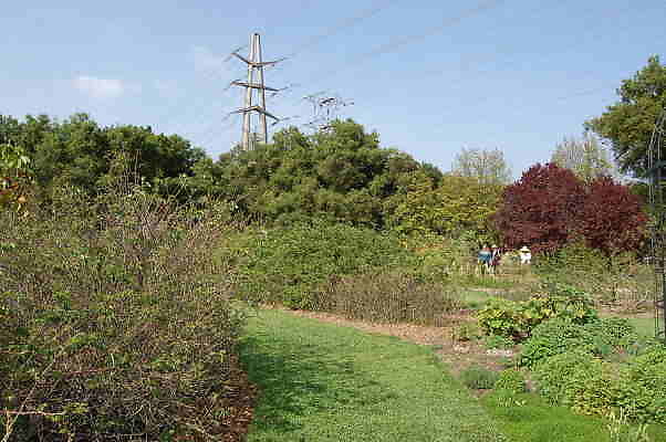 DSC 0351