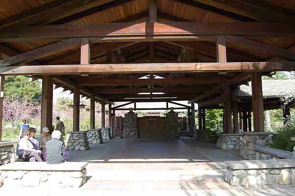 DSC 0372a
