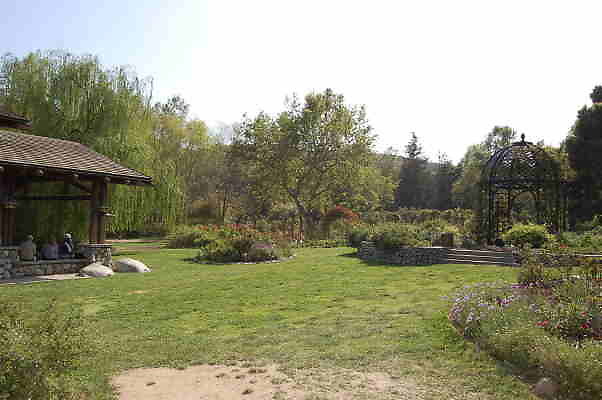 DSC 0358