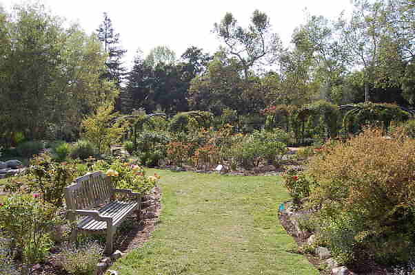 DSC 0385
