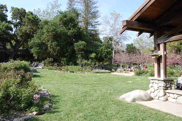 DSC 0371
