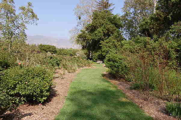 DSC 0380